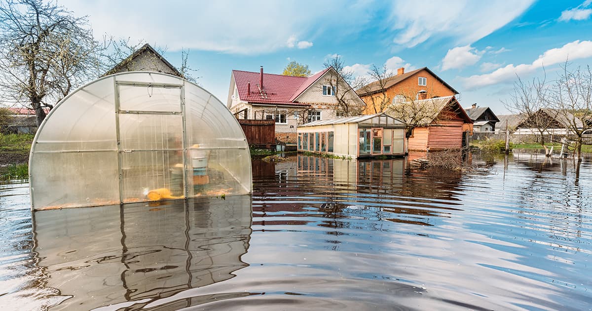What To Do When a Flood or Disaster Strikes - N.E. Building & Restoration