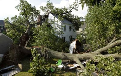 New England Storm Damage? We’re Here to Rebuild with You!