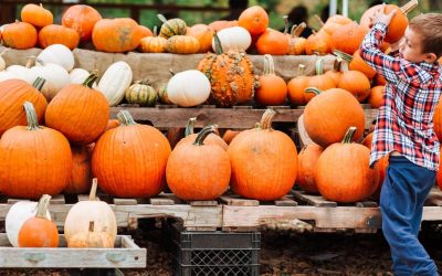 FALL FEST North Attleboro Plainville Rotary Event