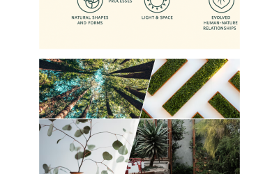 Bringing Nature Home: How Biophilic Design Can Transform Your Living Space