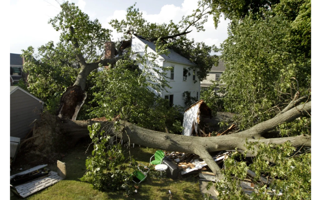 When Storms Hit Home: What to Do If Your Property Was Affected