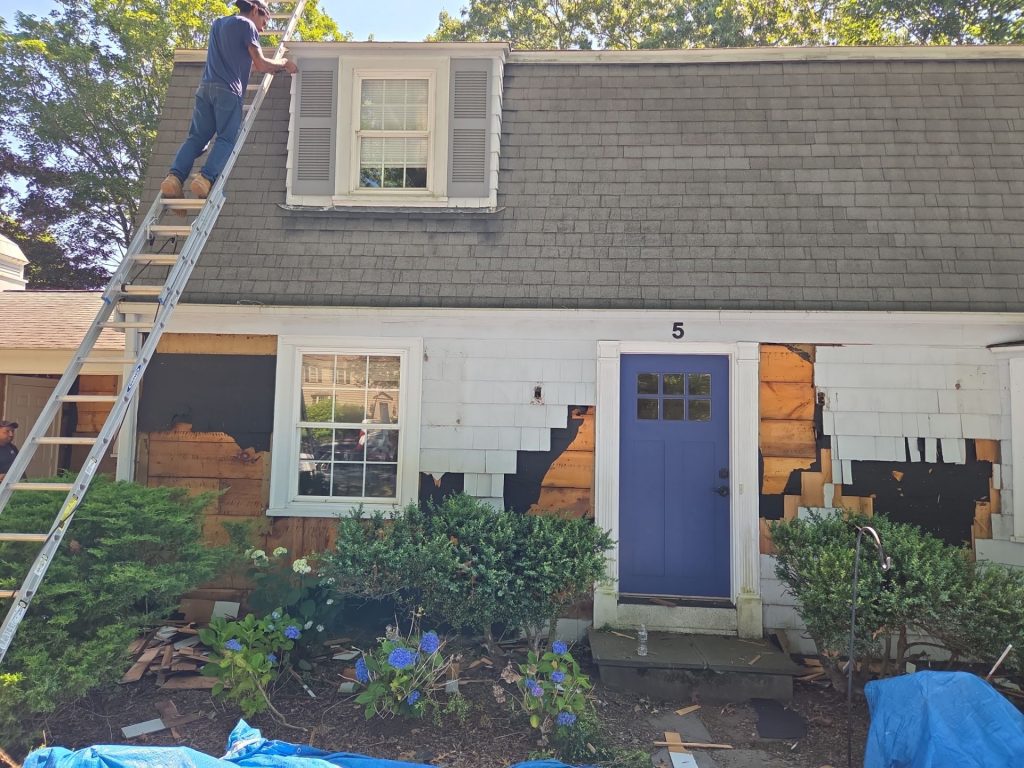 down net http20251114 222 31ts2k