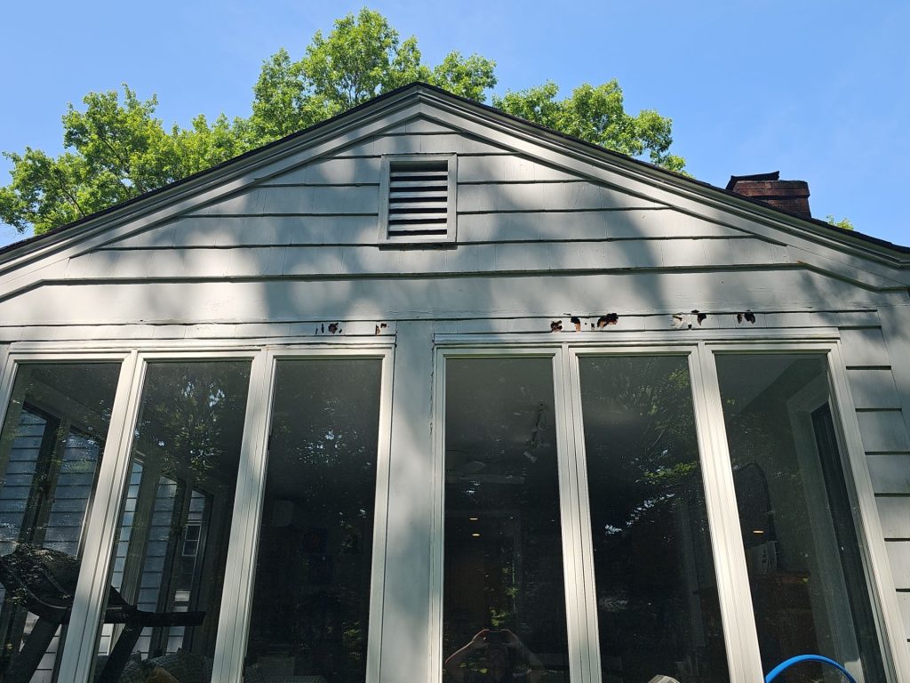 down net http20251114 267 wfus66 1